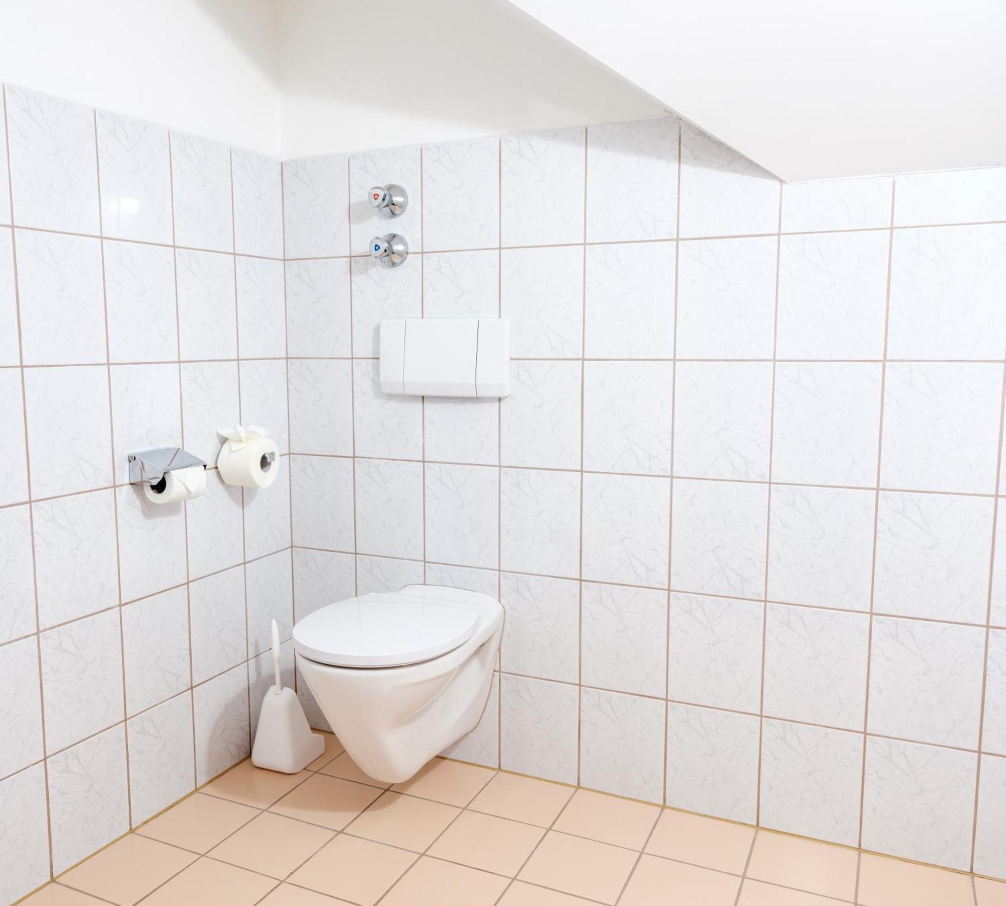 Ferienwohnung Im Naturpark Almenland Fladnitz an der Teichalm Dış mekan fotoğraf